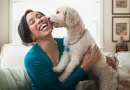 Seu cãozinho te ajuda a reduzir ansiedade e depressão e quem diz isso é a ciência